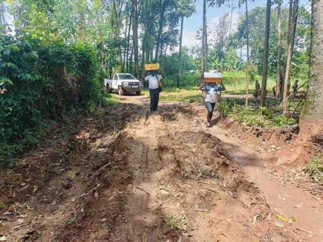 Two people carrying beehives